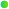 shape5